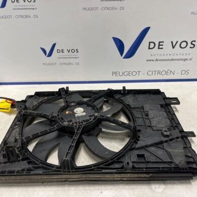 Peugeot Expert 2.0 Blue HDi 120 16V Koelvinhuis 2020 9805897480