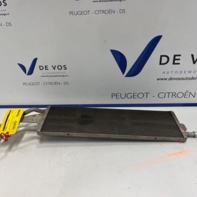 DS Automobiles DS4 1.6 16V E-Tense 225 Radiateur 5G06 2022 9830667680