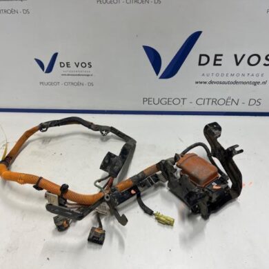 DS Automobiles DS4 1.6 16V E-Tense 225 HV kabel (hoog voltage) 2022 9842235780