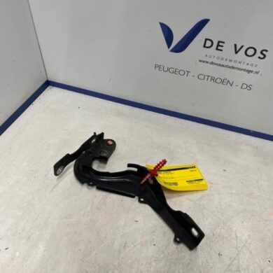 Citroen C3 1.6 Blue HDi 100 16V Motorkap Scharnier 2017 9812778580