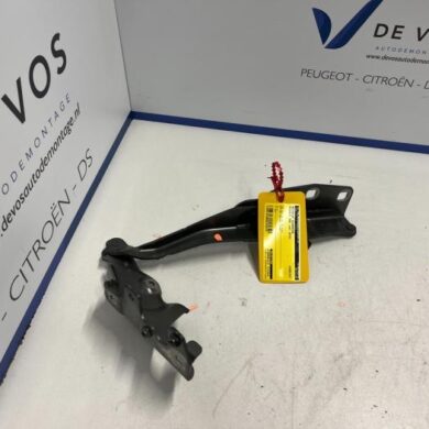Peugeot 508 1.6 16V PureTech 180 Bonnet Hinge 2019 9813071480