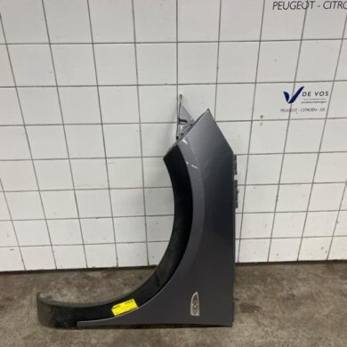 Opel Grandland X 1.2 Turbo 12V Front wing, left 2019 9817517180