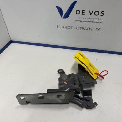 DS Automobiles DS4 1.6 16V E-Tense 225 Motorkap Scharnier 2022 9830840680