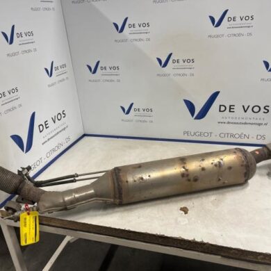 Peugeot Expert 2.0 Blue HDi 120 16V Roetfilter AHK 2020 9808561380-1618943080