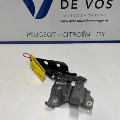 DS Automobiles DS4 1.6 16V E-Tense 225 Motorkap Scharnier 2022 9830840580