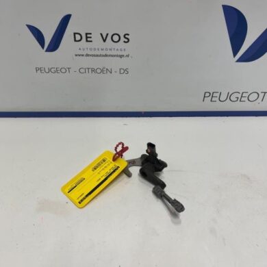 DS Automobiles DS4 1.6 16V E-Tense 225 Sensor (overige) 2022 9817423180