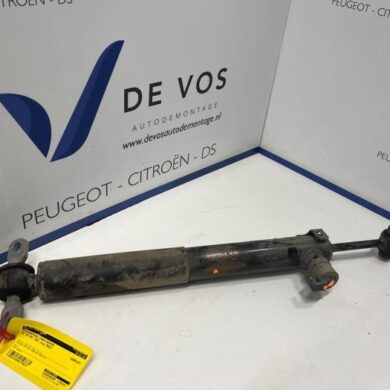 DS Automobiles DS4 1.6 16V E-Tense 225 Rear shock absorber, left 2022 9844814480-9851736380