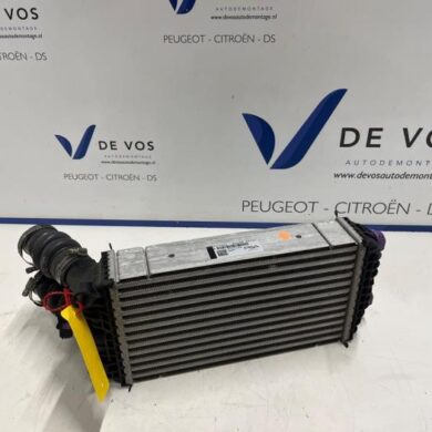 Opel Corsa 1.2 Turbo 12V 100 Intercooler HNK-HN05 2022 9824742280