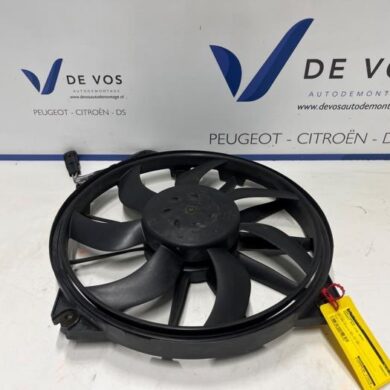 Peugeot RCZ 1.6 16V THP R Koelvinhuis 2014 1253T4