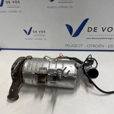 Peugeot 308 1.5 Blue HDi 130 16V Roetfilter YHZ-YH01 2022 9841854880-1679453880