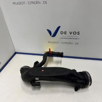 DS Automobiles DS4 1.6 16V E-Tense 225 Turboslang 5G06 2022 9834735780