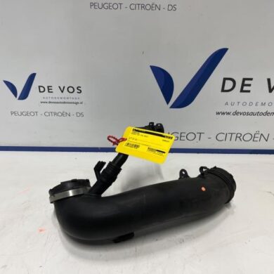 Peugeot RCZ 1.6 16V THP R Turboslang 5FG-5F08 2014 9806390680