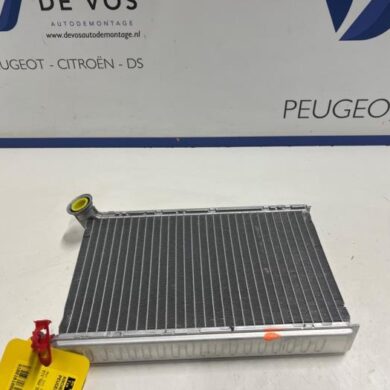 Peugeot 308 e-308 54 kWh Kachel Radiateur 2023 9837578580