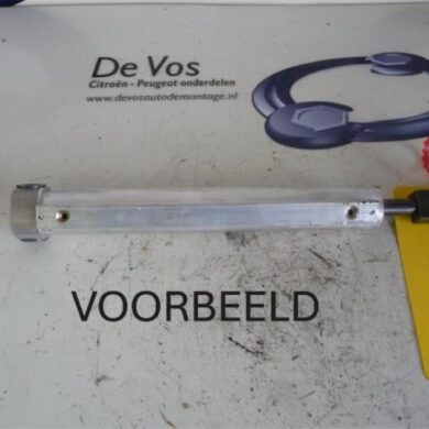 Peugeot 207 1.6 HDiF 16V Gasdemper Cabriodak 2009 8446P9