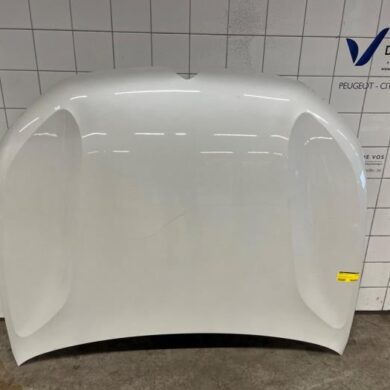 Citroen C5-X  Motorkap 2021 YL01887580