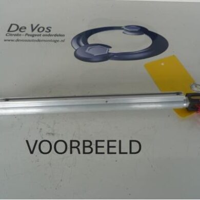 Peugeot 307 2.0 16V Gasdemper Cabriodak 2004 8446J6