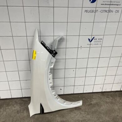 Citroen C5-X  Scherm rechts-voor 2021 YL01891180