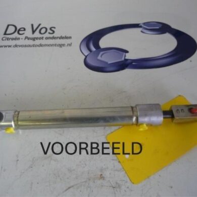 Peugeot 206 2.0 16V Gasdemper Cabriodak 2003 8446G2