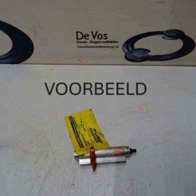 Peugeot 307 2.0 HDIF 16V Gasdemper Cabriodak 2007 8446J9