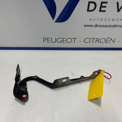 Peugeot 2008 1.5 BlueHDi 100 Motorkap Scharnier 2019 9678398480