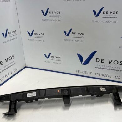 Peugeot Expert 2.0 Blue HDi 120 16V Front panel 2019 9808490780