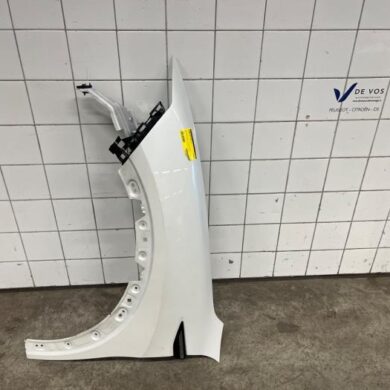 Citroen C5-X  Kotflügel links vorne 2021 YL01891280