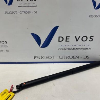 Peugeot 408  Rear gas strut, left 2023 9841612980