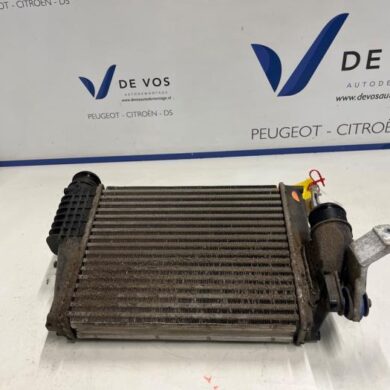 Citroen Jumpy 1.5 Blue HDi 100 Intercooler YHR-YH01 2020 9806562180