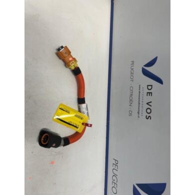 Opel Combo Combo-e HV kabel (hoog voltage) 2025 9844817780