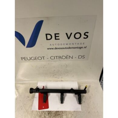 Peugeot 607  Injector (benzine injectie) 2001