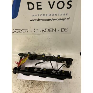 Peugeot 406 2.9 V6 24V Injektor (Benzineinspritzung) 1998 1984A3