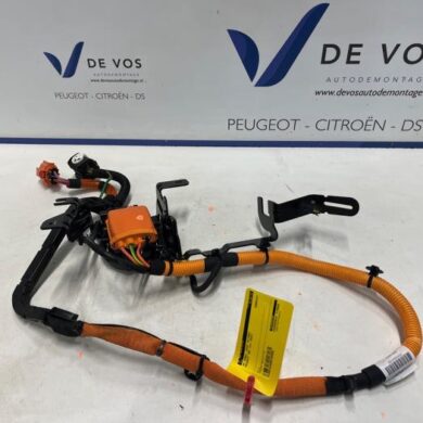 Peugeot 408  Cable high-voltage 2023 9842845380