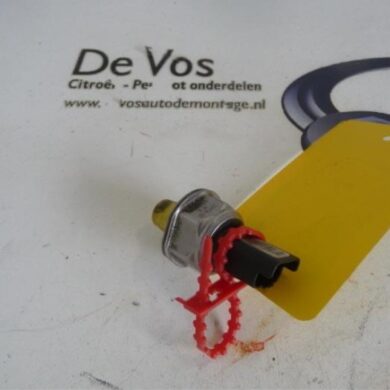 Peugeot Partner 1.6 HDI 75 Brandstofdruk sensor 9HN 2012 9813735580-1606643580