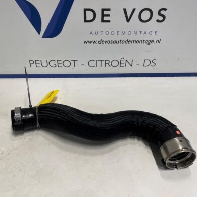 DS Automobiles DS7 Crossback 1.6 16V E-Tense 300 4x4 Turboslang 5G06 2025 9820115580