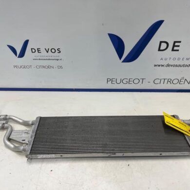 Peugeot 408 1.6 16V HYbrid 225 Kühler 5G06 2022 9830667680