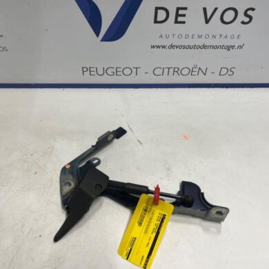 DS Automobiles DS7 Crossback 1.6 16V E-Tense 300 4x4 Motorkap Scharnier 2025 9829653580