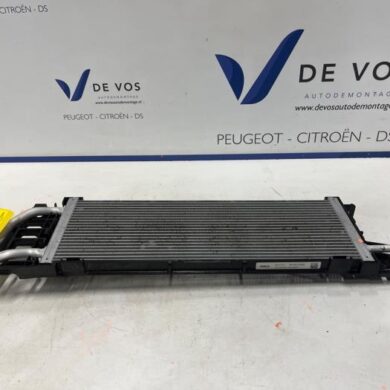 Peugeot 408  Radiator 5G07 2023 9818195180