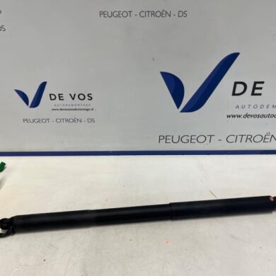 Peugeot 408  Rear gas strut, right 2023 9841612980