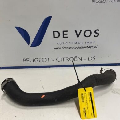 Citroen Jumpy 1.5 Blue HDi 100 Intercooler Slang YHR-YH01 2020 9821687780