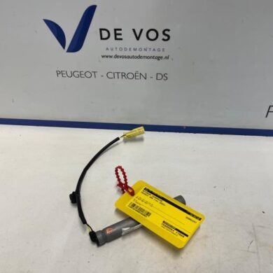 Peugeot 408  Bonnet Hinge 2023 9830981480