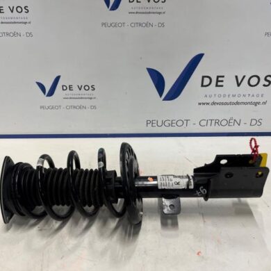 Peugeot 408  Front shock absorber rod, right 2023 9843888980-9854047280