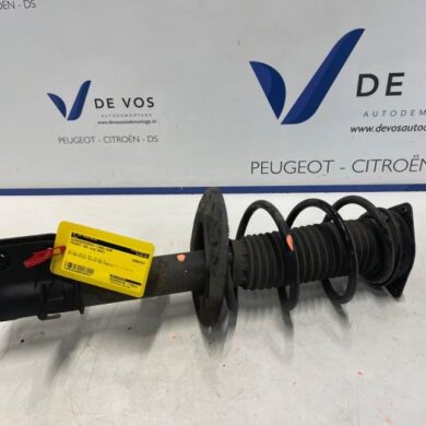 Peugeot 208  Front shock absorber rod, left 2020 9831168380