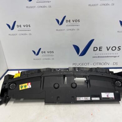 Peugeot 408  Front panel 2023 9838473880