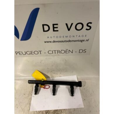 Peugeot 607  Injector (benzine injectie) 2001
