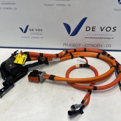 Opel Combo Combo-e HV kabel (hoog voltage) 2025 9851609180