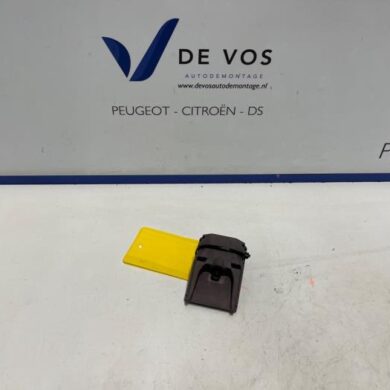 Peugeot 208  Camera voorzijde 2020 9838187180-1681924580-1692663180