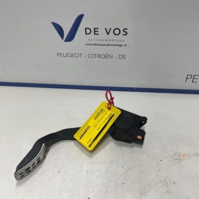 Peugeot 206 PLUS 1.4 XS Gaspedaal 2012 9687160080-1601AS