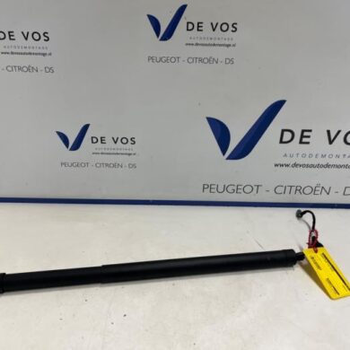 Peugeot 5008 1.2 12V e-THP PureTech 130 Rear gas strut, right 2020 9830770480