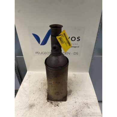 Peugeot 407  Roetfilter RHR 2005 174034-1731KE