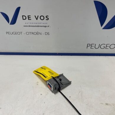 Peugeot 208 1.2 Vti 12V PureTech 100 Camera voorzijde 2024 9855566280-1694583480